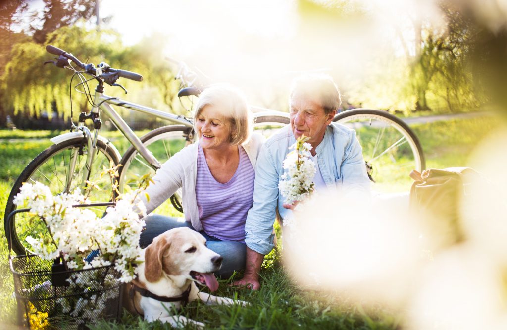 En man och en kvinna sitter på gräset bredvid sina cyklar, de klappar en beagle. 