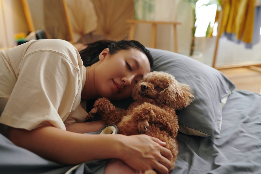 Young woman hugging her small poodle dog when sleeping