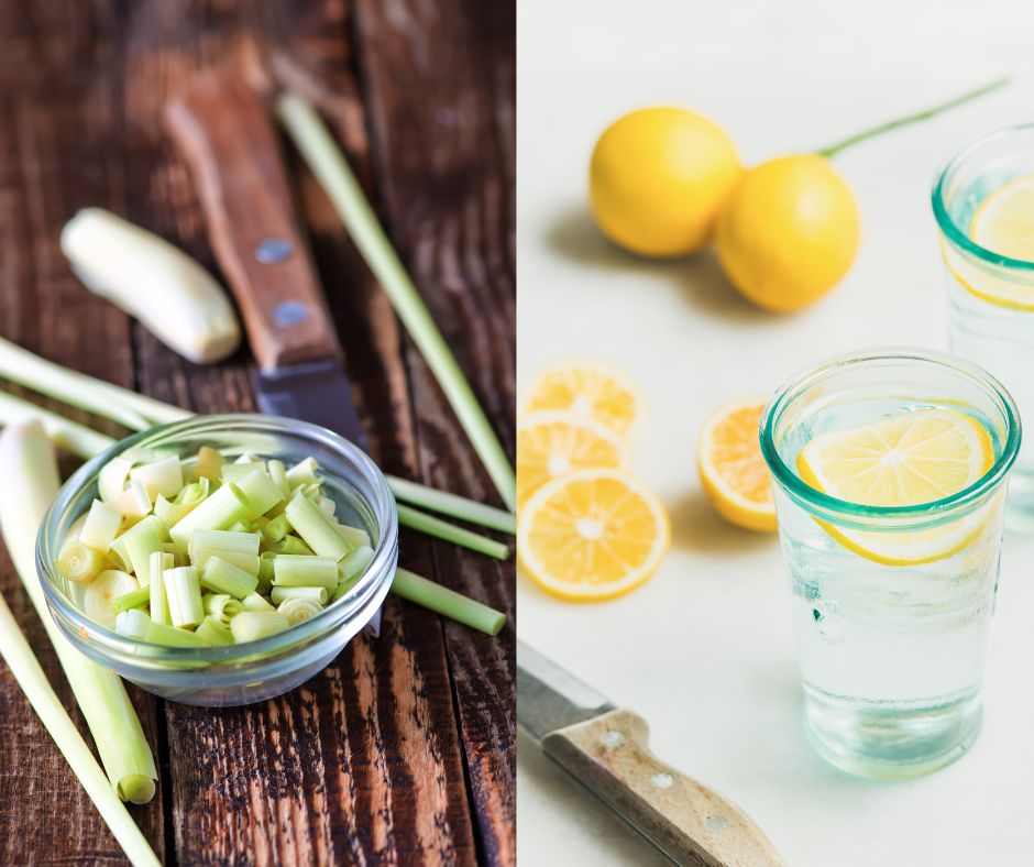 Hackat citrongräs i en skål, ett glas vatten med citron. 