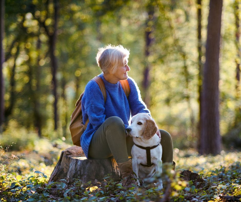 En äldre kvinna i blå tröja sitter på en stubbe och klabbar sin beagle.
