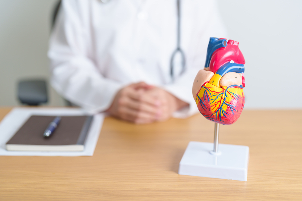 En foto till sidan om hjärtsvikt på en läkare som står bakom ett färgglatt hjärta i plast.