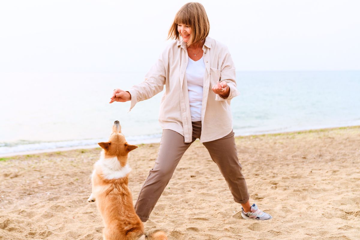 Kvinnor och övervikt Kvinna ca 60 år leker med en corgi på en strand