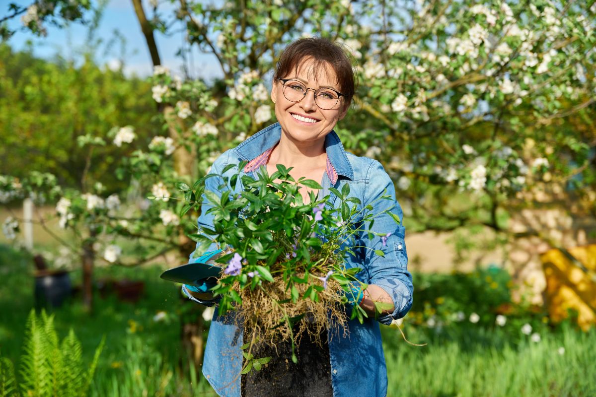 Kvinna ca 50 år står i en blommande trädgård iklädd jeansskjorta