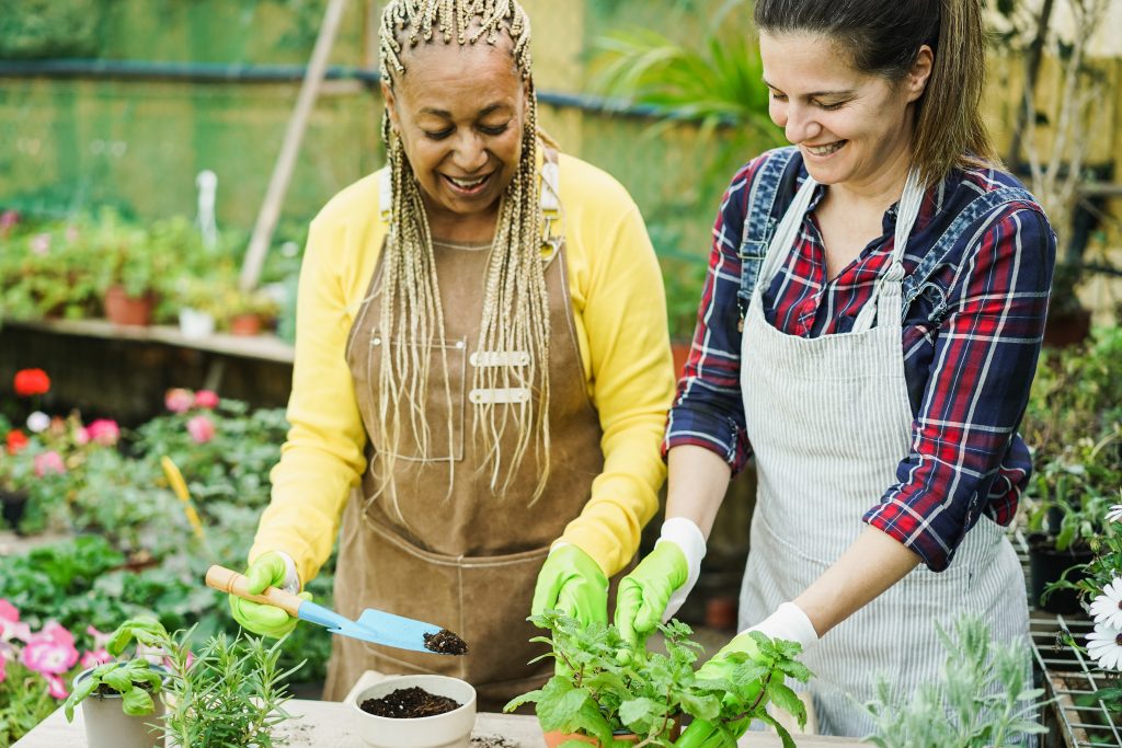 En vit och en svart kvinna står i ett växthus och planterar kryddor, de ler och har trevligt