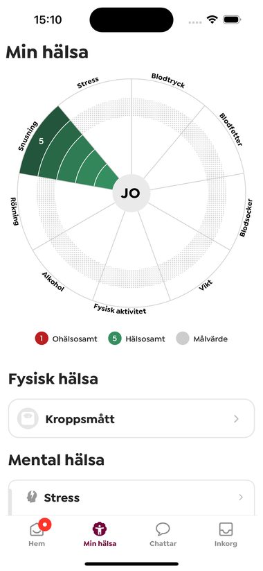 Översikten av resultaten