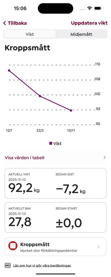 Vy över vikt och BMI-värden